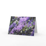 Lavender Flowers cards