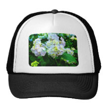 Lavender Hydrangea in Garden Hats
