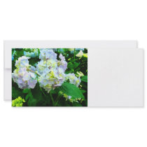 Lavender Hydrangea in Garden Rack Card Template