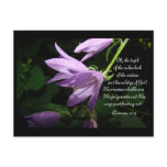 Lavender Lady Bells postcards