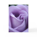 Lavender Love cards