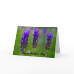 lavender mother's day