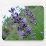 Lavender mousepads