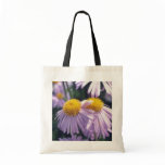 Lavender Napsbury Aster, (Aster Tongolensis) flowe bags