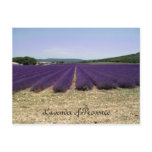 Lavender of Provence Postcards