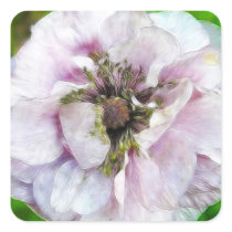 Lavender Poppy