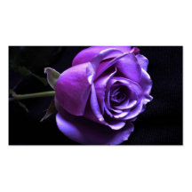 lavender rose business cards
