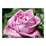 Lavender Rose Card