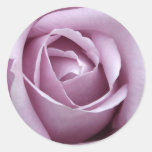Lavender Rose Flower Stickers