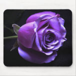 lavender rose mouse pads