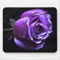 lavender rose mousepads
