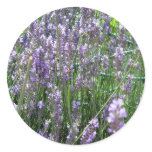 Lavender Sticker