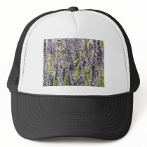 lavender with bumble bees hat
