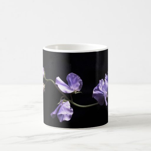 lavenders coffee mugs