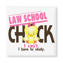 Law School Chick 1