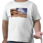 Lawrence of Arabia's house during t-shirts