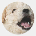 Lawrence Sticker