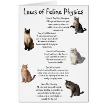 "Laws of Feline Physics" Cards