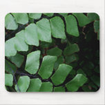 layers of leaves mouse pads