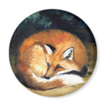 "Laying Fox" Wildlife Art Reproduction Magnet
