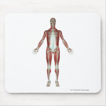 Layout of all the muscles in the human body mouse pads