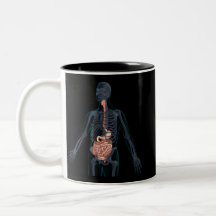 Layout of the human digestive system coffee mug
