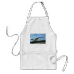 Laysan albatross flying aprons