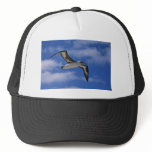 Laysan albatross flying in air trucker hat
