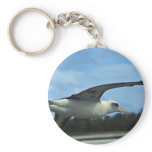 Laysan albatross flying key chains