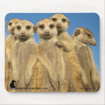 Lazuli pups Mousemat mousepads