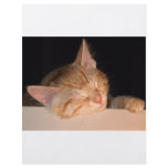 Lazy Cat Personalized Flyer