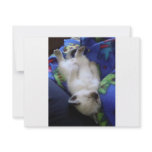 Lazy Cat invitations
