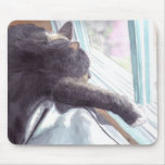 Lazy Cat Mousepad