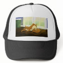 Lazy Cat on Background hats