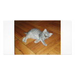Lazy Cat Customized Photo Card