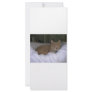 Lazy Cat Personalized Rack Card