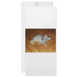Lazy Cat Custom Rack Cards