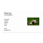 Lazy Day Tiger Business Cards