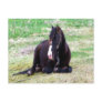 Lazy Days Postcard