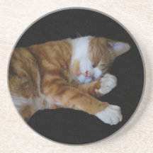 Lazy Ginger cat Coasters