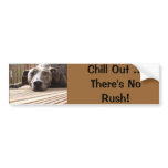 Lazy Lurcher Bumper Sticker bumper stickers