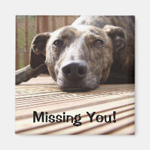 Lazy Lurcher Refrigerator Magnet