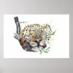 Lazy old Leopard posters