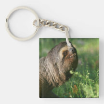 Lazy Sloth Acrylic Keychain