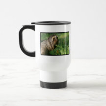 Lazy Sloth Plastic Travel Mug