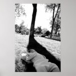Lazy Summer Days posters