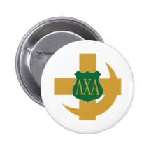 LCA Friendship Pin Colour
