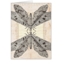 Le Melange Curieux - Strange Moths Collage Card