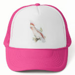 Leadbeater’s Cockatoo by Edward Lear hats