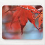 leader in red mouse mats